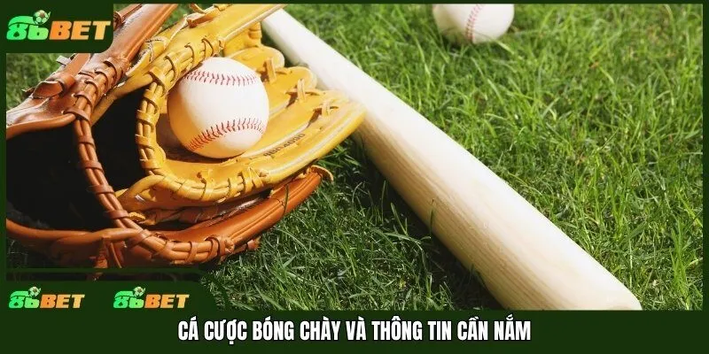Cá cược bóng chày và thông tin cần nắm
