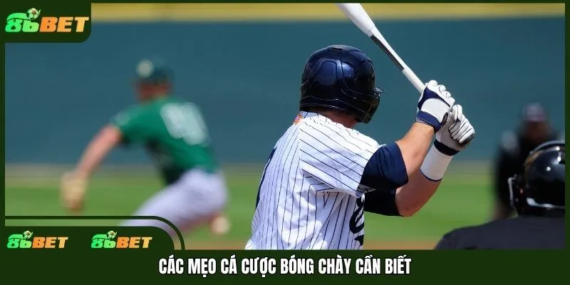 Các mẹo cá cược bóng chày cần biết