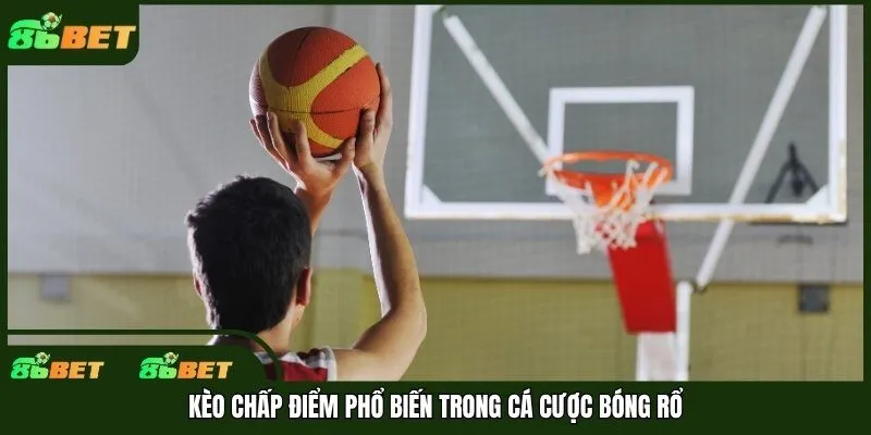 Kèo chấp điểm phổ biến trong cá cược bóng rổ